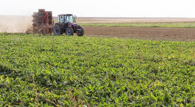 Ankara Büyükşehir Belediyesine ait tarım arazilerinde üretim başladı 