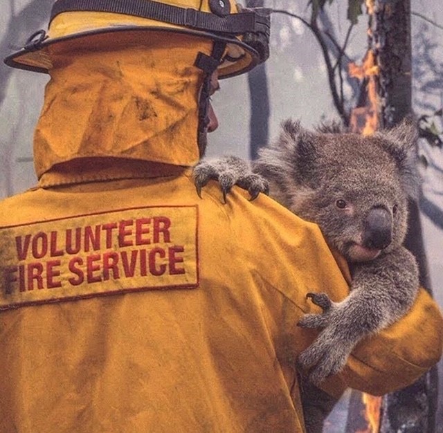 Avustralya yangınları neden söndürülemiyor?
