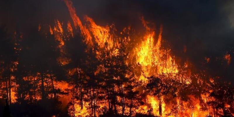 Kanun değişti 10 gün sonra orman yangınları başladı