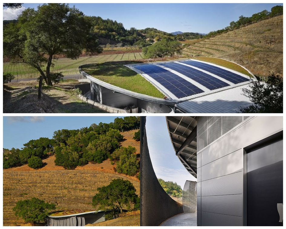 Yeşil çatılı şarap üretim tesisi elektriğini güneş enerjisinden sağlıyor