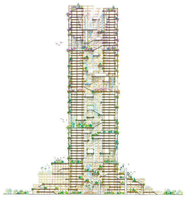 Dünyanın en yüksek ahşap binası olacak