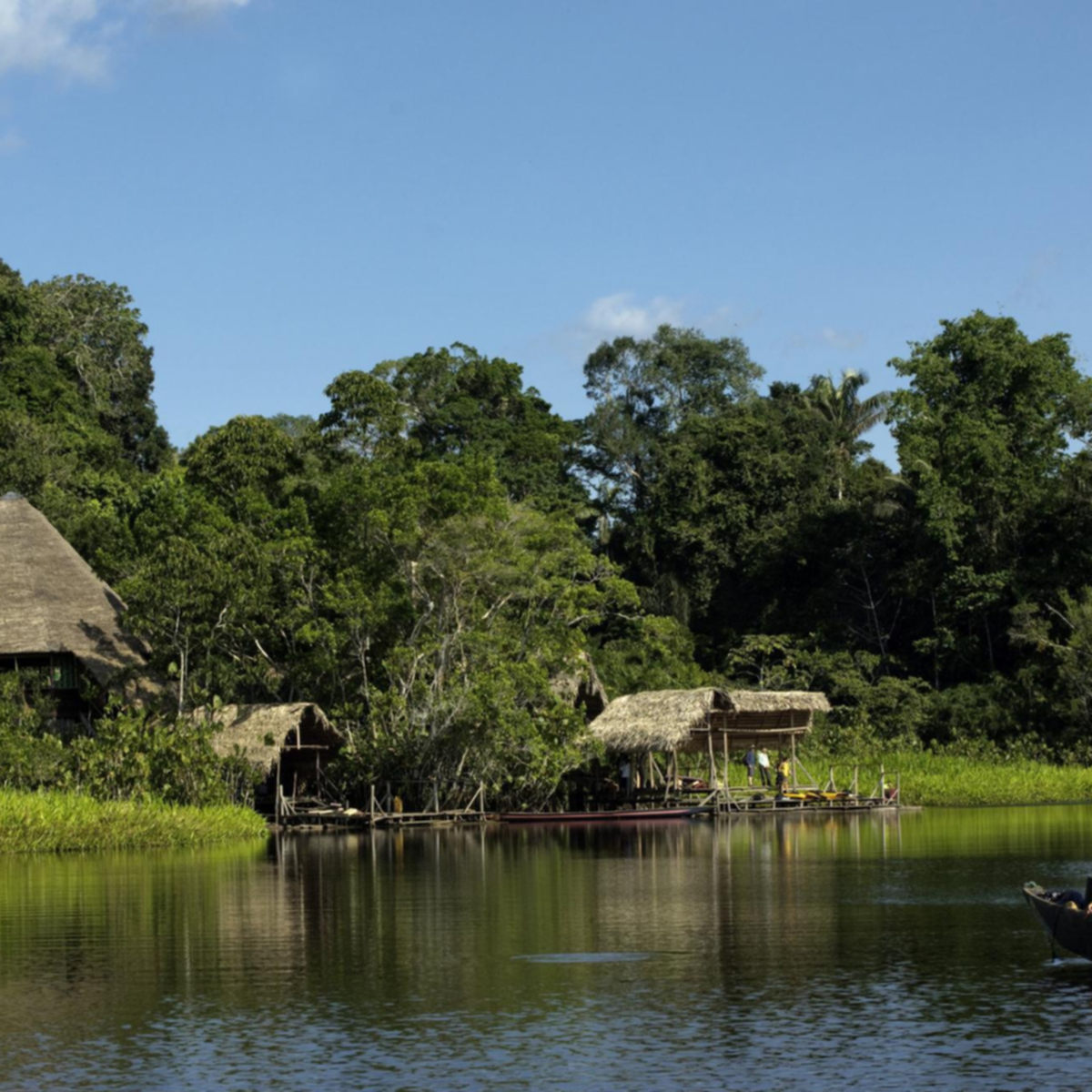 Amazon’un Kalbinde Ekolojik Ağaç Evler