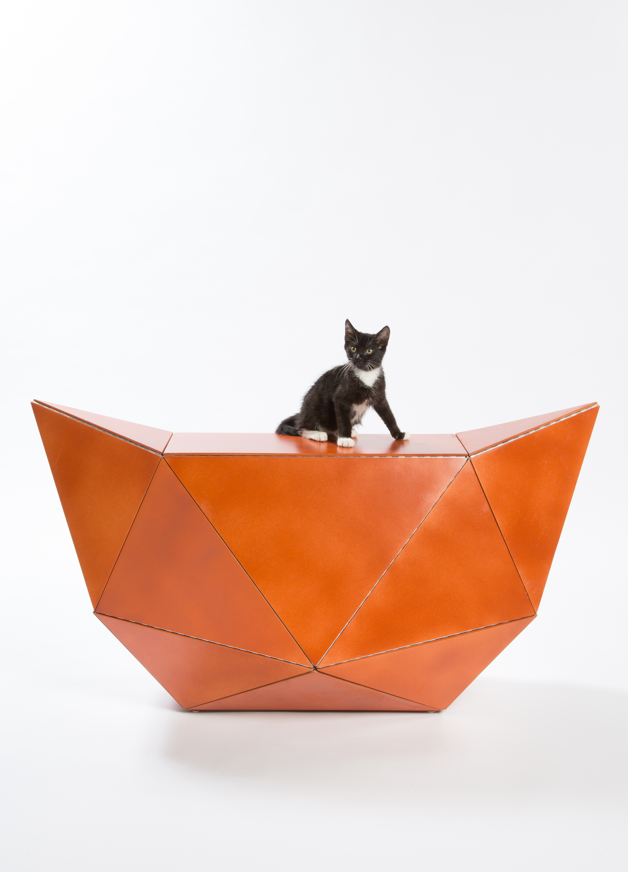12 mimar sokak kedilerine para toplamak için kedi evi tasarladı