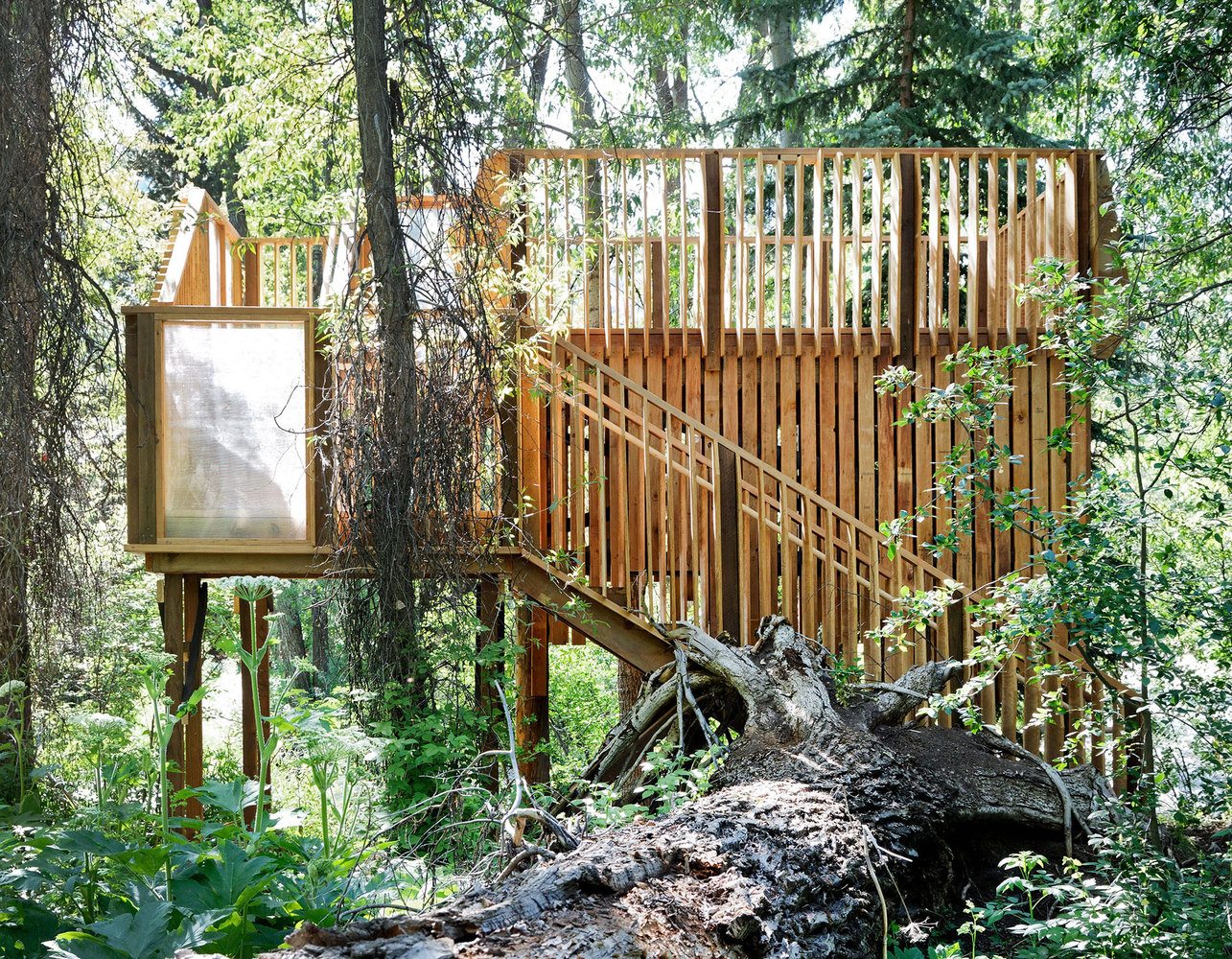 Bu ağaç ev açık hava sınıfı olarak tasarlandı