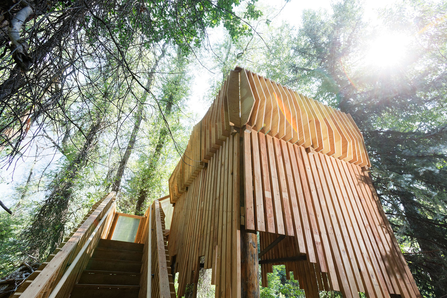 Bu ağaç ev açık hava sınıfı olarak tasarlandı