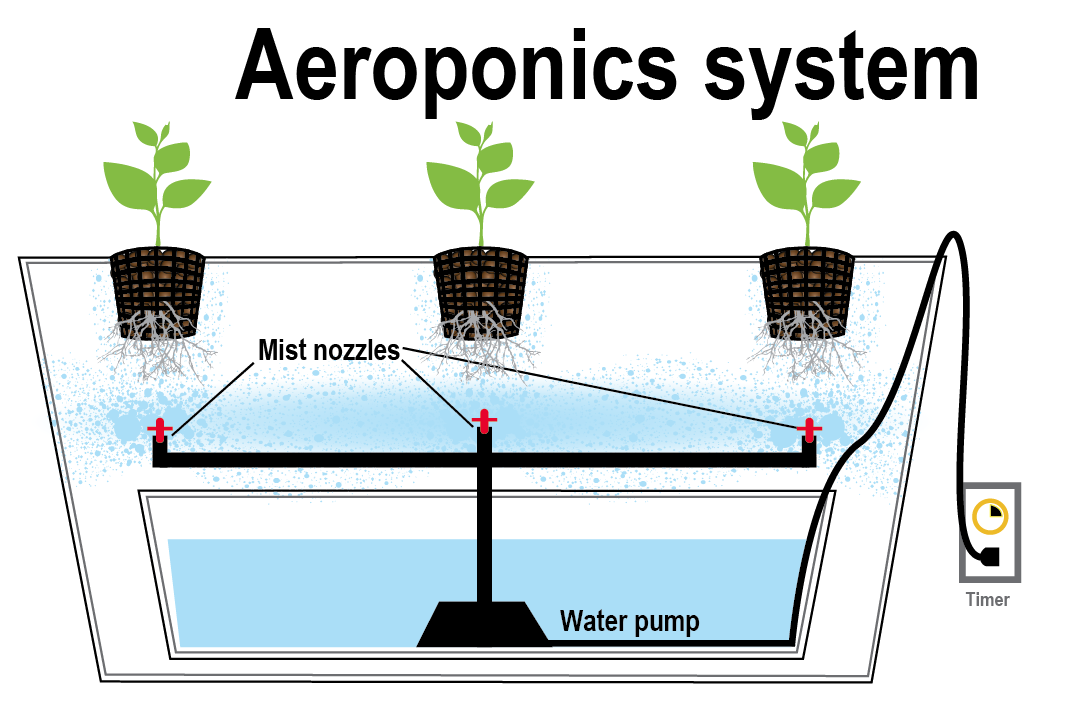 Aeroponik tarım nedir?