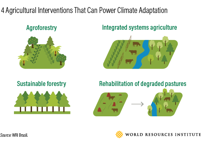Çiftçilerin iklim değişikliğine uyum sağlamaları için 4 yol