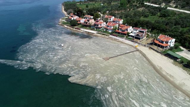 Deniz salyası nedenleri ve çözüm önerileri -Geleceği Yeşil ...