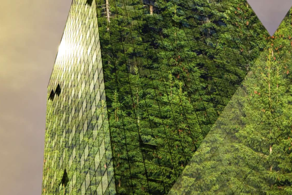 YEŞİL BİNALAR HAKKINDA HER ŞEY 1: Yeşil Bina Nedir?, Bina Standartları, Yeşil Yönetmelikler