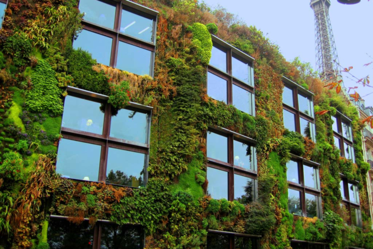 YEŞİL BİNALAR HAKKINDA HER ŞEY 1: Yeşil Bina Nedir?, Bina Standartları, Yeşil Yönetmelikler